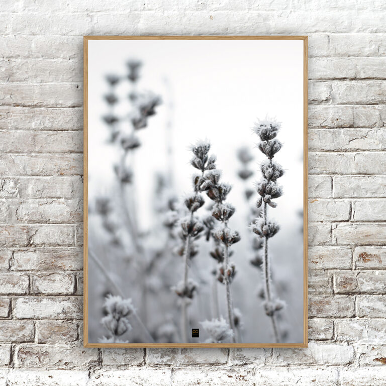 Billede af Frozen flowers no. 4 50x70cm