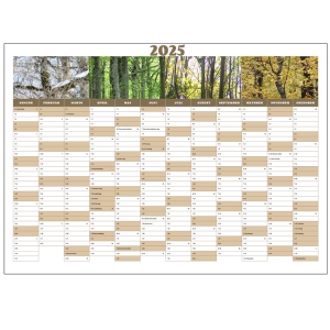 Vægkalender for 2025 i tosca farver med motiv af de fire årstider