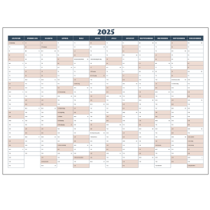 Rosa vægkalender for 2025 i et simplet design