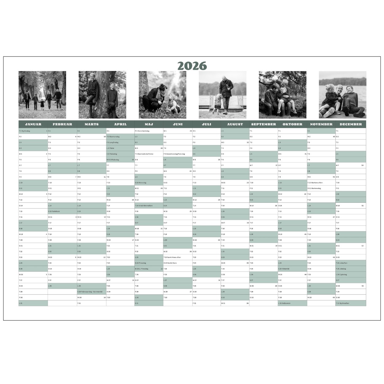 Foto-kalender-2026-støvet grøn-sort-hvid-6-11-1250x1250px